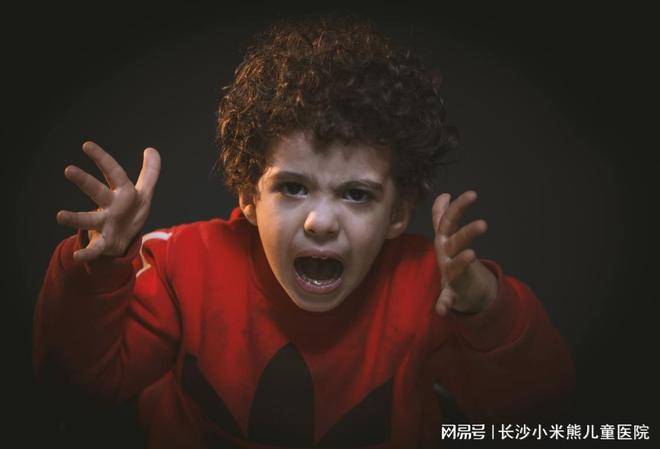 青春期孩子情绪暴躁背后的原因与应对策略CQ9电子网站长沙儿童心理咨询中心：